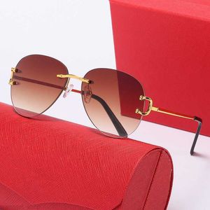 Luxury Designer Sunglasses Mens Womens Polarized uv Protection Retro Eyeglass Gold Sun glasses Frameless Gradient Sunglass Men Eyeglasses glass