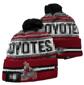 Men's Caps Coyotes Beanies Columbus Beanie Hats All 32 Teams Knitted Cuffed Pom Striped Sideline Wool Warm USA College Sport Knit hat Hockey Cap For Women's a