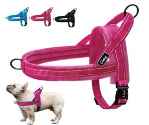 Colete reflexivo de nylon para cães de estimação, colete de flanela macia acolchoado sem alça para treinamento de caminhada, cães pequenos, médios e grandes 6445408