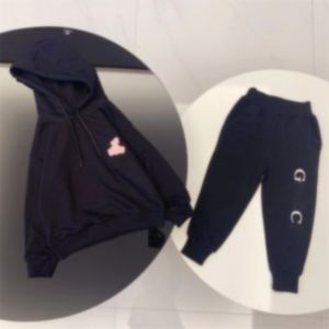 2023 Nova moda esportiva moda infantil meninos meninas conjunto de roupas primavera e outono roupas esportivas crianças estudantes hip hop roupas de rua lã crianças z19