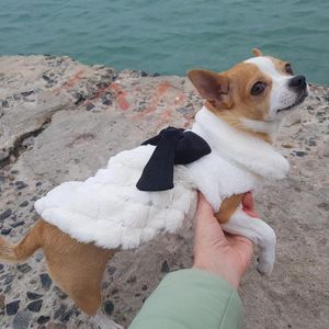 Toptan küçük köpek giyim evcil hayvan kıyafetleri zarif lüks kürk kış palto sevimli kedi kıyafetleri bowknot chihuahua köpek evcil köpek aksesuarları giyim