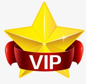 VIP-платежная ссылка на платеж клиентов Добро пожаловать в магазин