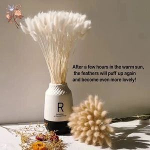 Coniglio Coda Erba Naturale Lagurus Ovatus Pampas Bouquet di fiori secchi Decorazione floreale di nozze Decorazione per la casa Puntelli per foto