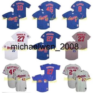 Bisons Jersey 27 Vladimir Guerrero 8 Gary Carter 10 Andre Dawso 45 Pedro Martinez Gri Beyaz Gary Carter