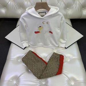 Kinder Kleidung Sets Pullover Hoodies verdicken Mode Frühling / Herbst Mädchen Jungen Kleidung Baby Kleinkind Baumwolle Outwear Tops Kinder Sweatshirts 2-12T