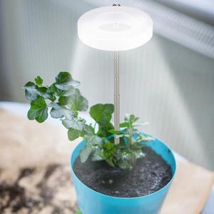 Grow Lights led växtljusblått för växter full spektrum skrivbord tillväxtlampa inomhus justerbar