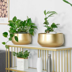 Vaser Flower Plant Flowerpot Succulent Container Vase vardagsrum Dekoration Golden Gardening Indoor Decor Metal With Drainage P230411