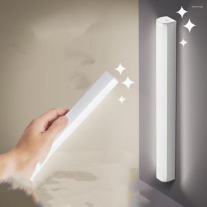 Luci notturne Lampada da scrivania a sospensione LED magnetico Ricaricabile Luce continua per armadio Armadio Armadio Tavolo Camera da letto