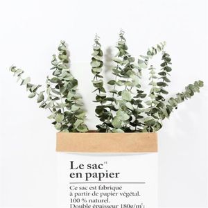 Decorative Flowers & Wreaths 10pcs Natural Dried Eucalyptus Branches Large Decor Home Forever Immortal Size Leaf Flower F8d0231w