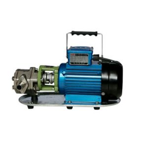 WCB-30P rostfritt stål Electric Fuel Centrifugal Oil Pump Gear Pump High Pressure