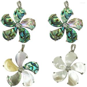 Pendant Necklaces Women Fashion Jewelry Beautiful Mother Of Pearl Zealand Abalone Shell Oval Bead WFH676