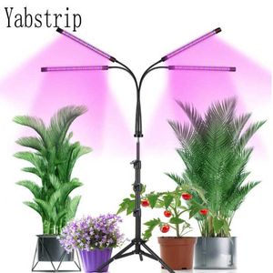 Grow Lights 2 Year Warranty LED Grow Light Full Spectrum 5V USB With Bracket For Indoor Plant Flower Seedling VEG Tent Phyto Lamp Fitolampy P230413