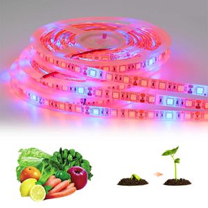 Grow Lights Full Spectrum Tuya Smart Wifi LED Grow Lamp 5M LED Strip Phyto Light Tape For Greenhouse Hydroponic Plant use Alexa Google Home P230413