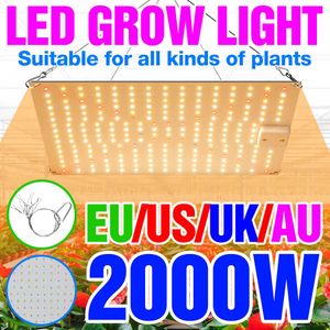 Büyüme Işıkları LED Grow Light LED Fitolamp Tam Spektrum Lamba Bitki Büyüme Hidroponik Bitkiler Tohum Çiçeği Büyüyen Kutu 1000W 2000W Quantum Board P230413