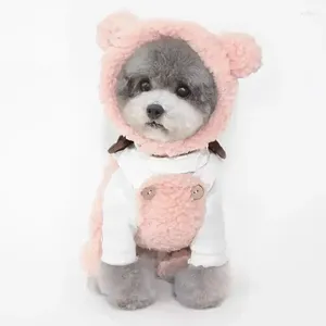 Hundkläder Björndjur djur med bygelutrustning hattkläder romern vintervalp katt bär söta mops varma för kläder kattunge