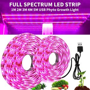 Luzes de cultivo 5V Planta LED USB Grow Light Full Spectrum 1-5m Plant Light Strip Phyto Lamp for Greenhouse Flor Pedragem Grow Tent Hidropônica P230413