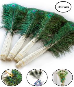 Other Event Party Supplies Wholesale 6070cm Natural Big Eyes Peacock Feathers 50100PCS for Vase Crafts Jewelry Accessories Home Decoration Plumes 231113