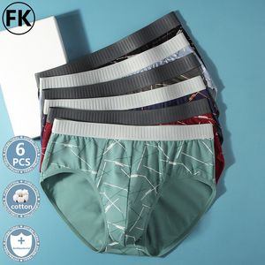 Underpants FK Men's Cotton Underwear Antibacterial Underpants Borda de calcinha respirável Cantura Média Treadamente Briefas Sexy 6pcs 230413