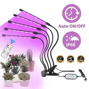 Grow Lights LED Grow Light Full Spectrum Phytolamp med fjärrkontroll USB Horticultural Phyto Lamp för inomhusodling Växter som blommar P230413