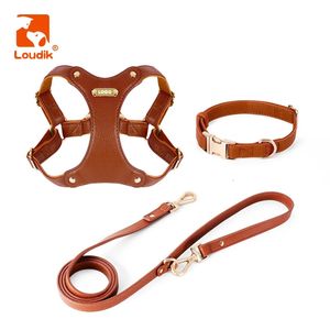 Colarinhos de cachorro colares loudik luxuros cães de couro e coleira conjunto de identificação imprimida sem puxar ajuste pequeno colarinho de estimação grande de gola de estimação por atacado 231110