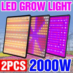 Luzes de cultivo 2pcs LED Grow Light Full Spectrum Lamp Phyto Bulb Grow Plant Growth Lamp 1000W 2000W Hidropônico Flor Flor Seeds Tent 85-265V P230413