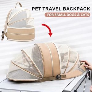 小型犬に適したバックパックを運ぶ犬のペット猫子犬子猫透明な通気性のある屋外旅行製品231110