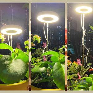 Grow Lights LED Grow Light Spettro completo Luce per la crescita delle piante USB 5V Lampada da coltivazione dimmerabile regolabile in altezza con timer per piante da interno Herb P230413