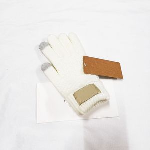 Glove pure cotton glove Designer Designs High Quality Fashion Plush Waterproof Gloves Sheep Fleece Winter and Autumn Five Finger Gloves