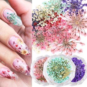 10 pçs/caixa 3d flores secas decorações da arte do prego adesivos de flores secas reais diy manicure encantos projetos para acessórios de unhas