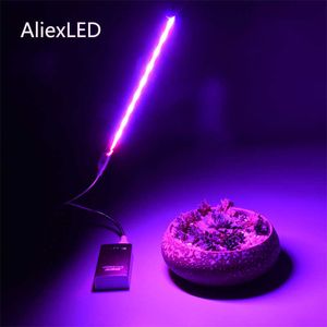 Büyüme Işıkları USB 5V LED LIGHT LIGHT FULL SPECTRUM KIRMIZI KIRMIZI LAMBA BÜYÜK LAMBA KAPALI USB Bitkiler için Fitolamp Çiçekler Fide Serası P230413