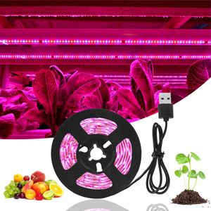 Grow Lights LED Grow Light Full Spectrum Phytolamp 5V USB Växtljusremsa 1m 2m 3M Phyto Lamp för växter Flower Greenhouse Tent Hydroponic P230413