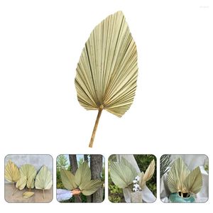 Dekorativa blommor ikebana vaser torkade palm spears vintage dekor tropiska blad verkliga pressade handhållna fans stora naturliga blad pu