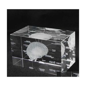 Dekorative Objekte Figuren 3D Menschliches Anatomisches Modell Briefbeschwerer Lasergeätztes Gehirn Kristallglas Würfel Anatomie Geist Neurologie Th Ot1Mv