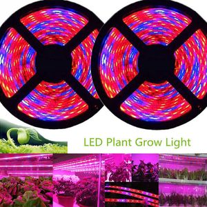 Grow Lights 5M светодиод Phyto Grow Light 12 В Полный спектр светодиодная светодиодная лента 5050 Светодиодная полосатая полоса Phytolampy IP65 Гибкий аквариум P230413