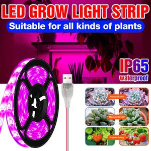 Grow Lights Lampada Phyto USB Spettro completo Luce per la crescita delle piante Led Grow Strip Light Serra Phytolamp per piante Sistema di coltivazione idroponica P230413