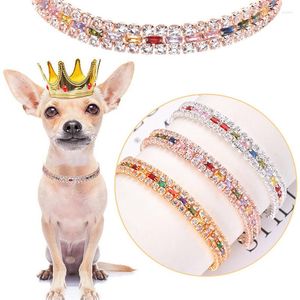 Collari per cani Fashion Rhinestone Collar Cat Diamond Jewelry Necklace Pet Bling Princess Cuppy Forniture Chihuahua Accessori