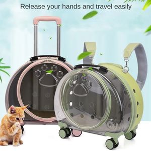 Cão pet mala transparente trole caso gato saco portátil cão espaço cápsula grande capacidade mochila 231110