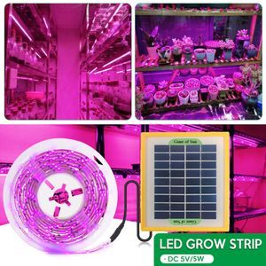 グローライトソーラーLED成長ライトストリップフルスペクトルフィトランプ5V SMD 2835植物のための植物成長光