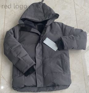 デザイナーのパーカー冬のジャケットの男性濃厚なジャケットhomme jassen chaquetas parka outerwear mens chaqueton coat屋外フード付きフォーリュアxs-3xl