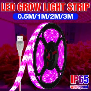 Luzes Grow Greenhouse USB Luz de planta LED Hidroponia Phyto Grow Lamp Strip 1m 2m 3m Flor Seed Growth Cultivation Lights LED Fitolampy 5V P230413