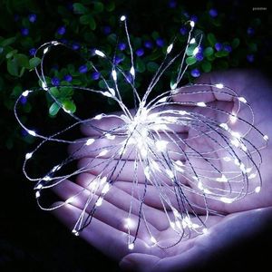 Strings LED Curtain Lamp String com controle remoto IP65 Iluminação decorativa de arame de cobre à prova d'água IP65 IP65