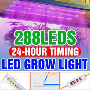 Grow Lights USB Plant Grow Light Dimmable LED GrowthLamp Full Spectrum Phyto Bulb With Control Greenhouse Phytolamps Seedling Cultivation P230413