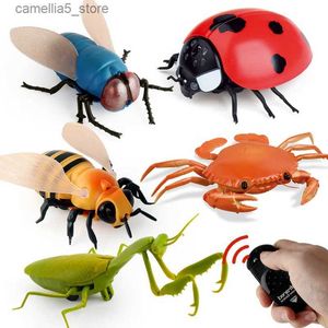 Electric/RC Animals Infraröd RC Insekt Remote Control Simulation Mantis Vuxna prank skämt Toy Birthday Novelty Gift Kids Toys Q231114