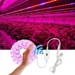 Bitkiler için USB Fitolappları Büyüme 5V LED LED Grow Light Strip 2835 CHIP 1M 2M 3M LED Fito Bant Hidroponik Sera Fideleri Büyümesi P230413