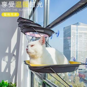 고양이 침대 쓰레기 흡입 컵 고양이를위한 교수형 포시즌 유니버스 윈도우 릴 애완 동물 용품