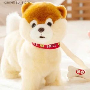 Electric/RC Animals Robot Dog Interactive Dog Electronic Toys Plush Puppy Pet Walk Bark Leash Teddy Toys For Children Birthday Gifts Q231114
