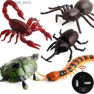 Electric/RC Animals Infrared RC Remote Control Animal Toy Kit Kids vuxna smarta kackerlackan spindel myra prank skämt radioinsekt för pojkar q231114