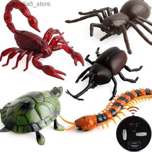 Electric/RC Animals Novely Infrared RC Remote Control Animal Insect Toy Kit Barn Barn Vuxna Cockroach Spider Ant Prank skämt Kids Toy Q231114