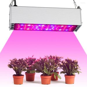 Grow Lights Spectrum Full 150W Light LED UV IR para sistema de hidroponia em interior Sistema de estufa Flor Flower Vegetable Lâmpadas de cultivo