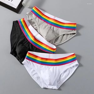 Majy seksowne męskie bieliznę bawełniane gejowskie tęczowe pasek oddychający męskie briefy cueca calzoncillos ślizgają się w hombre męskie majtki